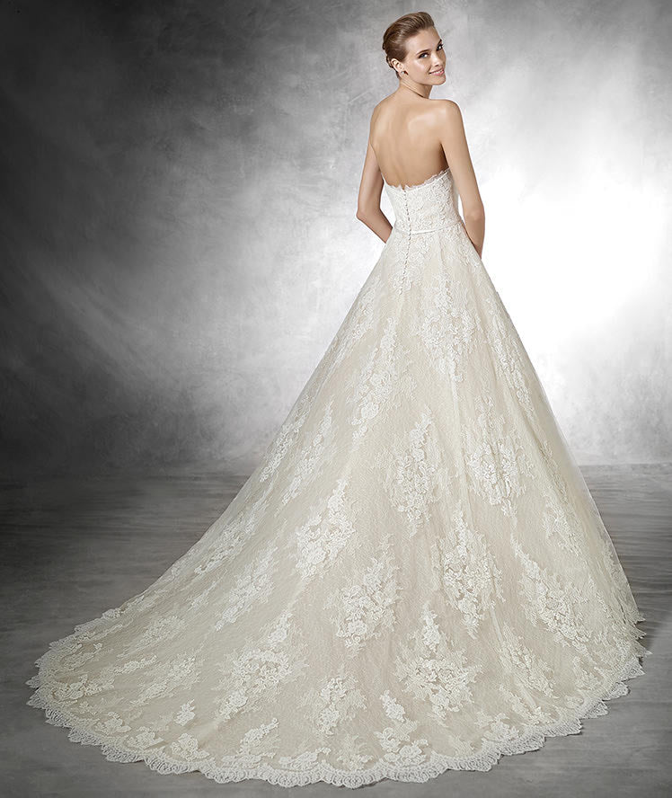 The Taffi Gown by Pronovias Size 14