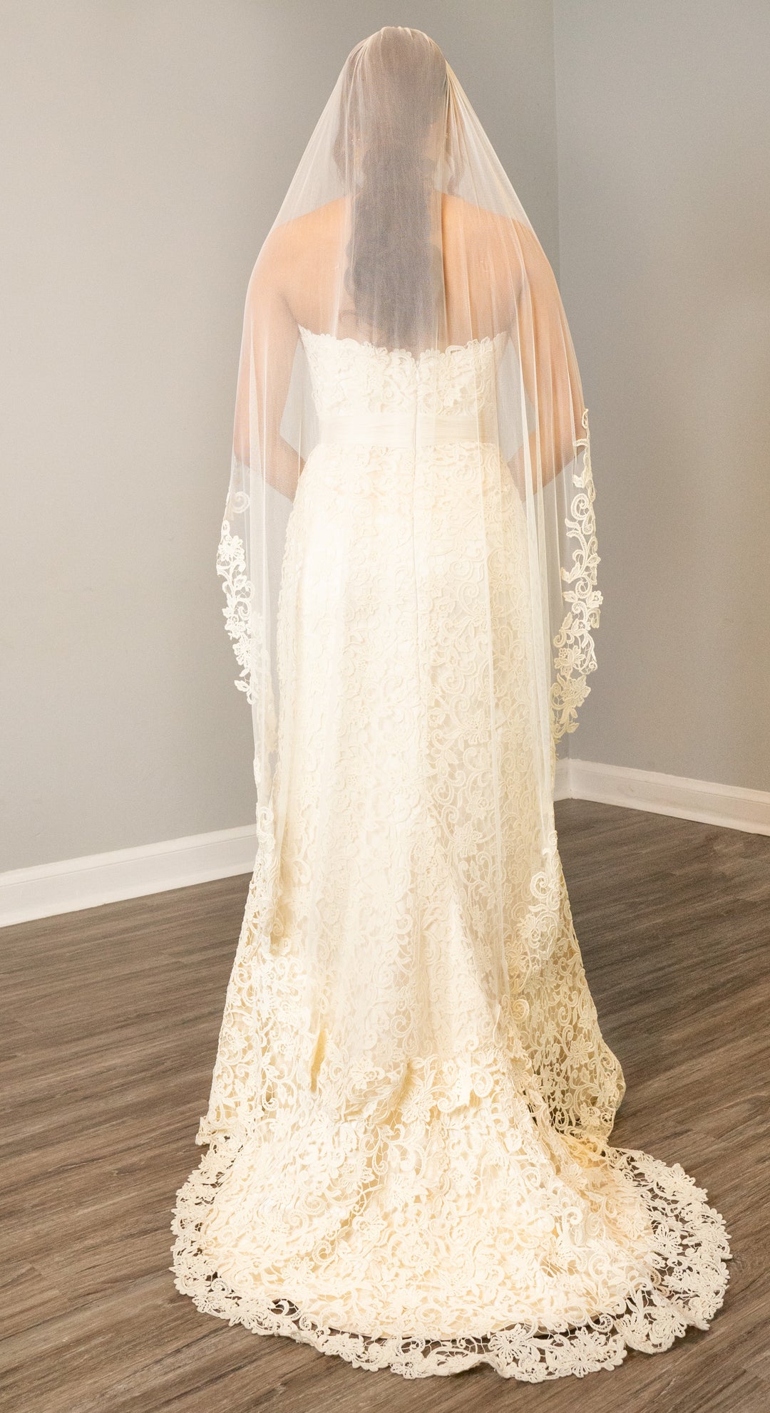 Modern Trousseau Lace Gown Size 12 (With Veil)