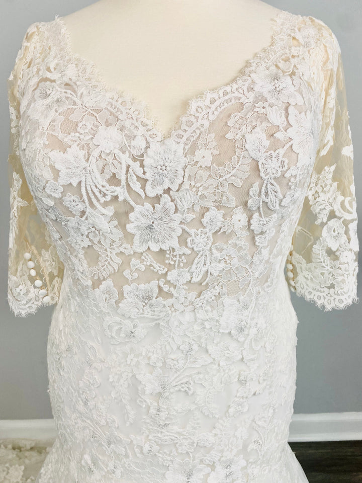 Three-quarter Lace Sleeve Fit-to-Flare gown 'Evelyn' by Pronovias Size 22